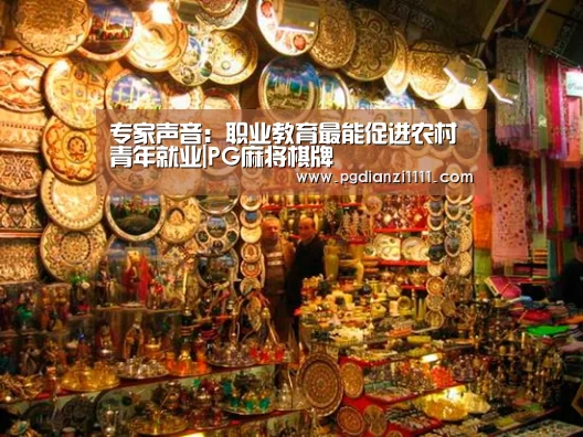 专家声音:职业教育最能促进农村青年就业|PG麻将棋牌(图2) PG麻将官网