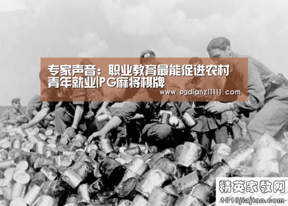专家声音:职业教育最能促进农村青年就业|PG麻将棋牌(图3) PG麻将官网